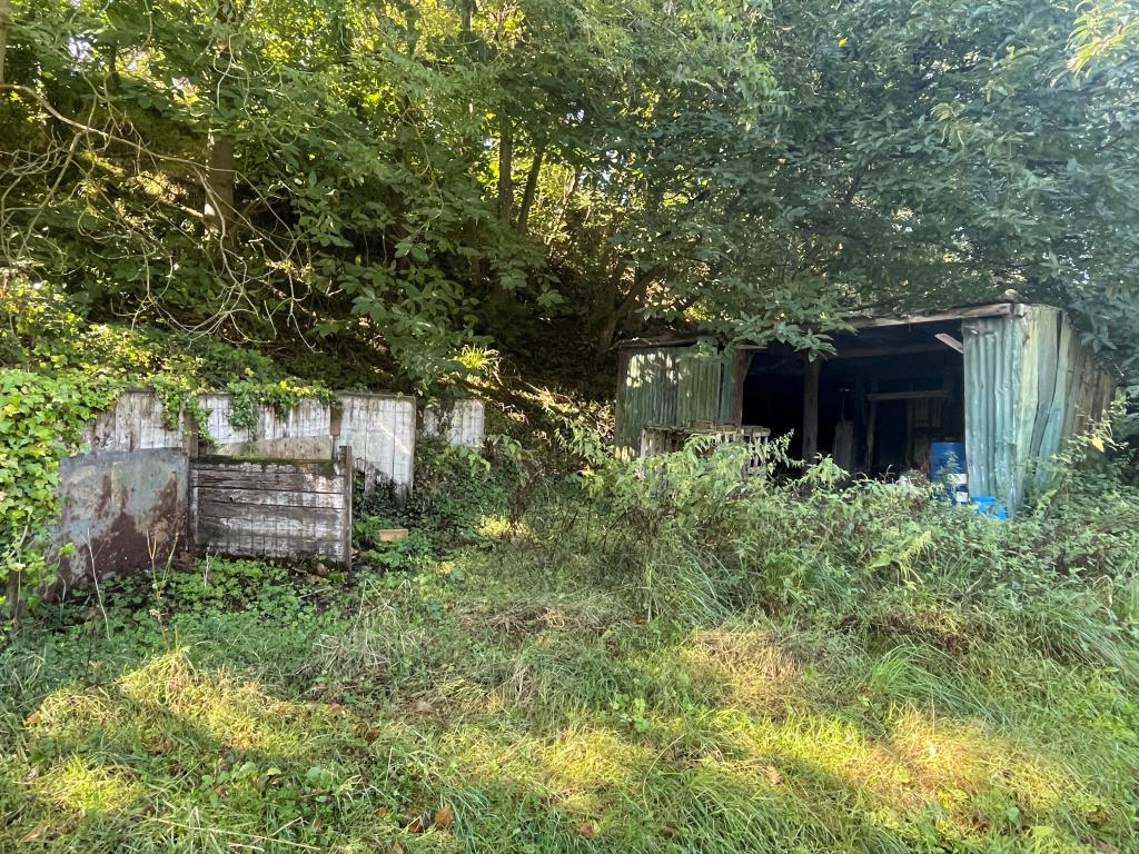Lot: 116 - FREEHOLD LAND WITH POTENTIAL - Store